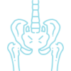 3222854_bones_pelvic_snuffle_icon