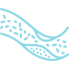 6312786_arteriosclerosis_artery_bloodstream_cholesterol_coronary_icon