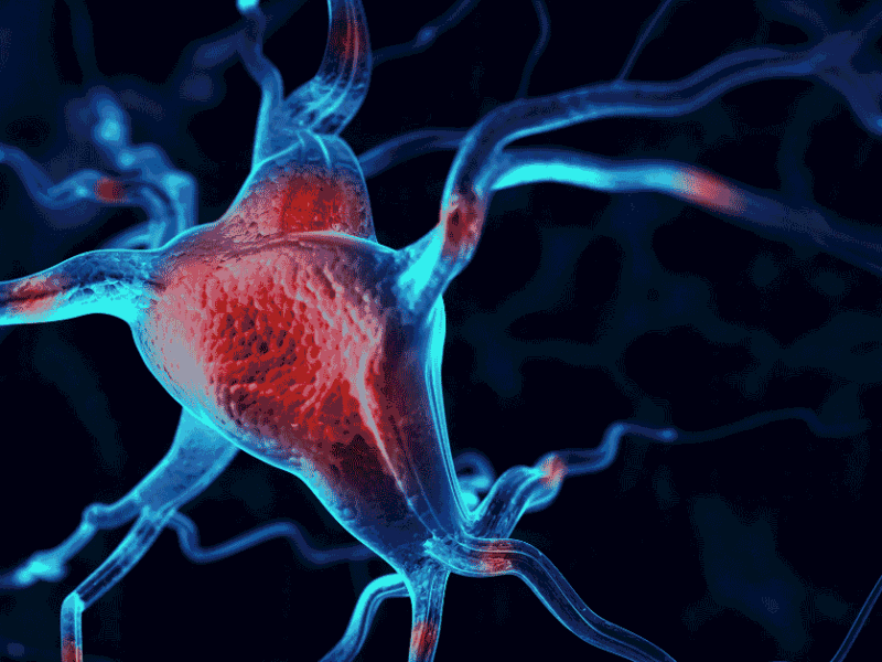 From Back Pain to Neuropathy: Why Personalized Pain Treatment Plans Matter